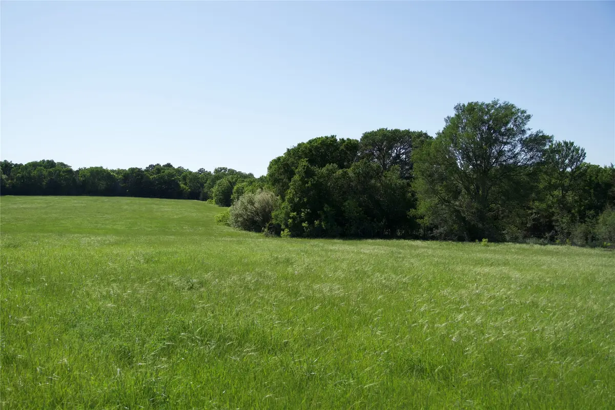 TBD St Delight Tract 4, Paige, TX 78659 - Image #1