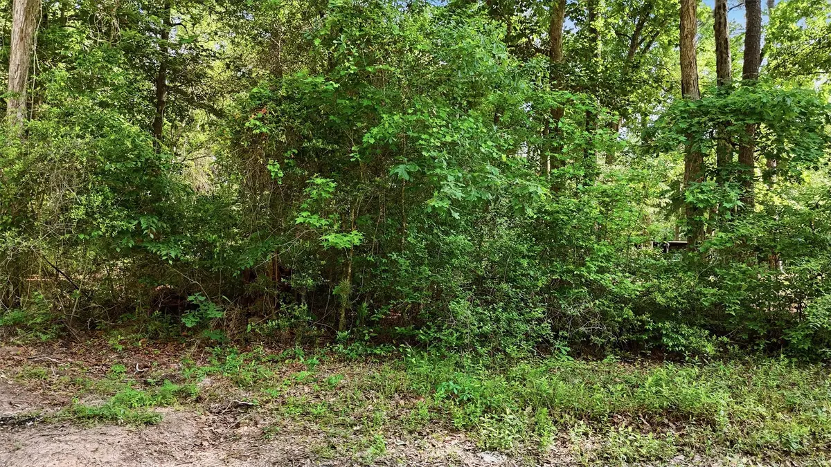 164 Road 2699, Cleveland, TX 77327 - #1