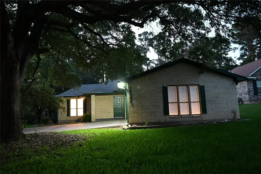 10053 W Twin Shore Drive, Willis, TX 77318 - #3