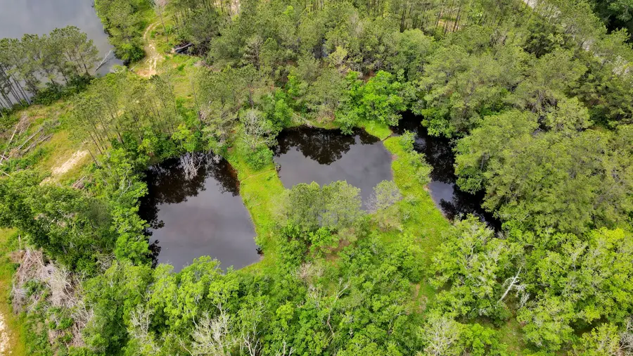 12520 Us-59 S, Shepherd, TX 77371 - #3