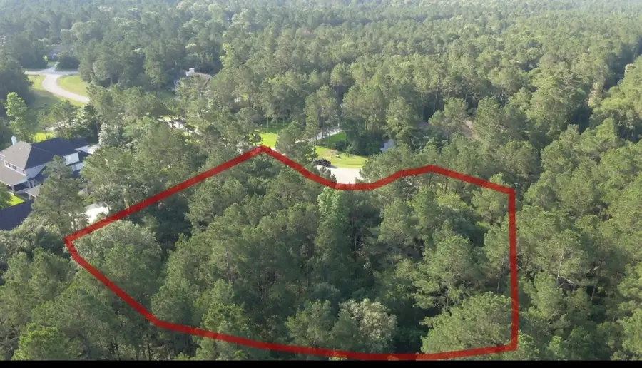 11315 Winding Trail Court, Montgomery, TX 77316 - #2