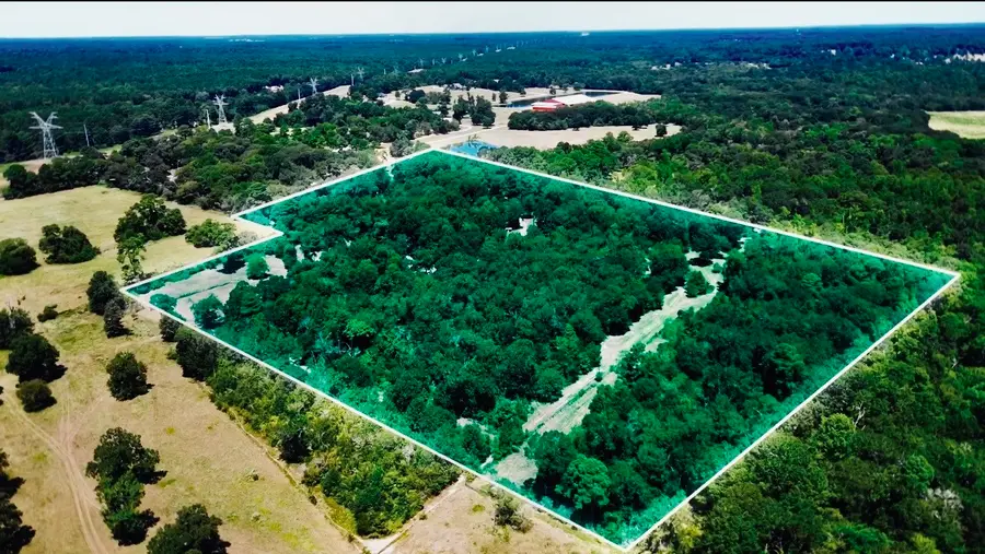 9846 Post Oak Cemetery Road, Montgomery, TX 77356 - #2