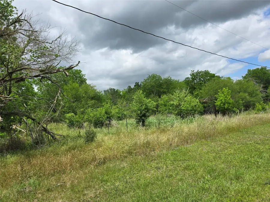 000 Nicolas Bravo Street, San Felipe, TX 77473 - #2