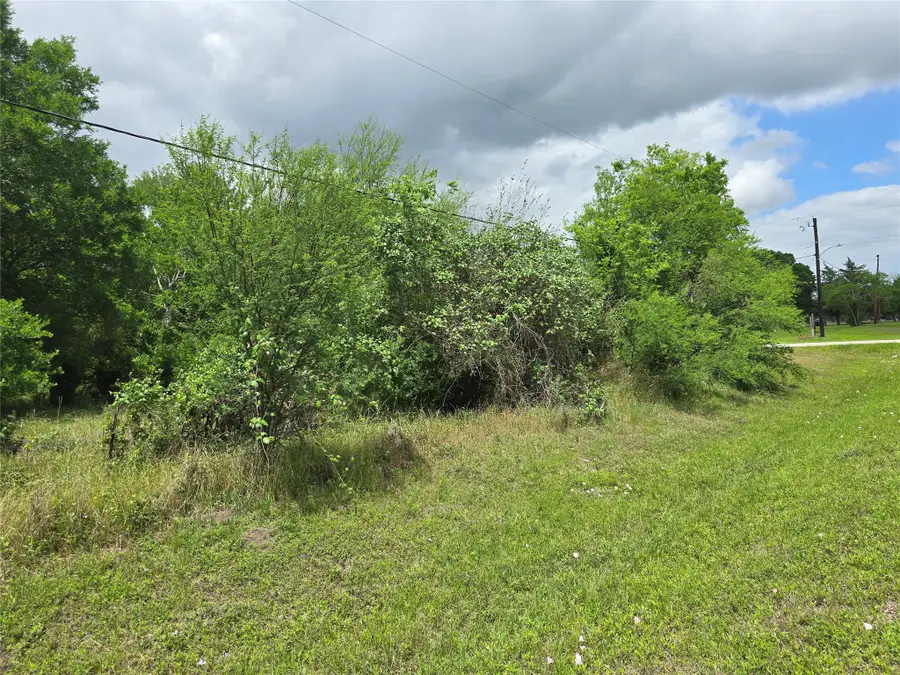 000 Nicolas Bravo Street, San Felipe, TX 77473 - #3