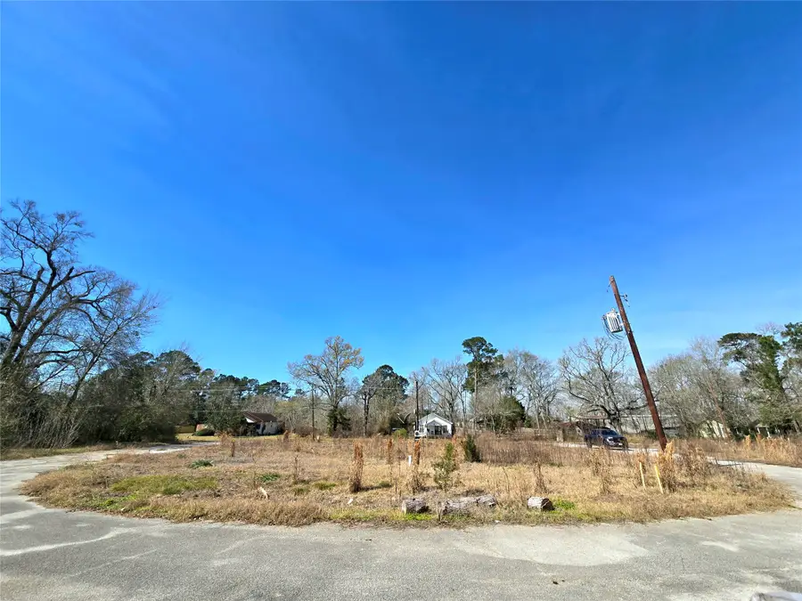 205 Tanner Street, Cleveland, TX 77575 - #2