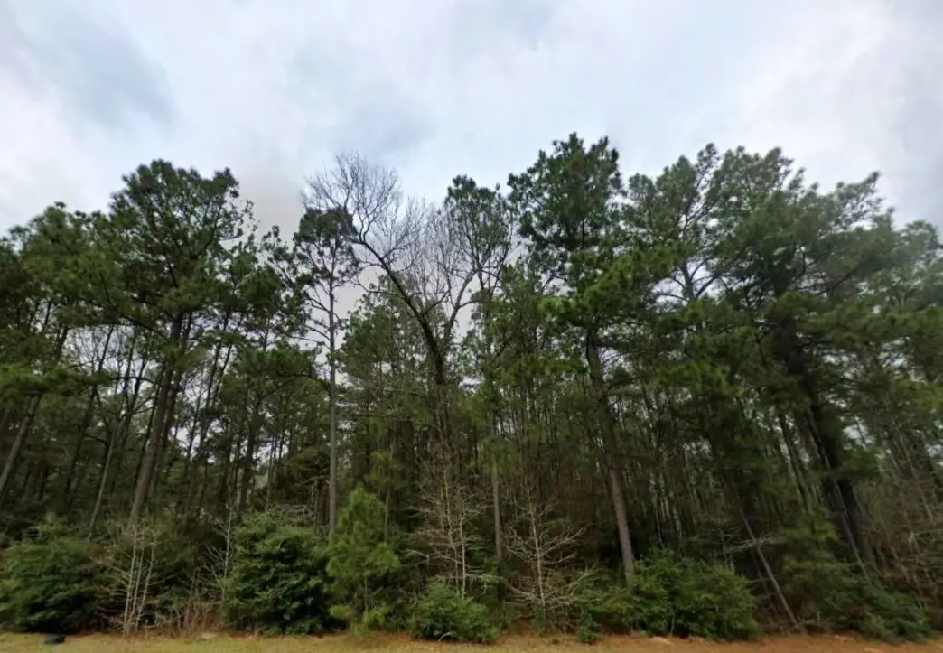 168 Rock Ranch Drive, New Waverly, TX 77358 - Image #1