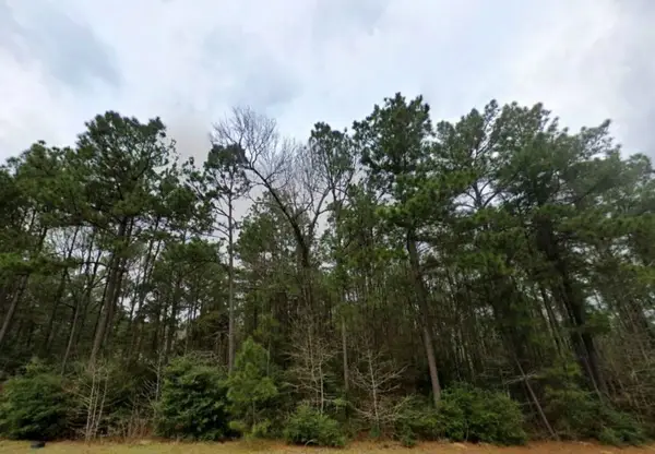 168 Rock Ranch Drive, New Waverly, TX 77358