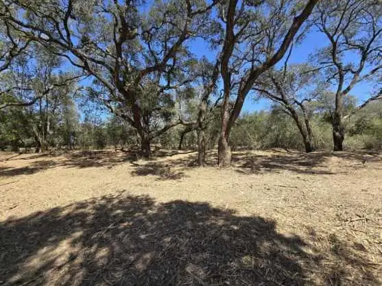 000 Tinkler, Rock Island, TX 77470 - Image #2