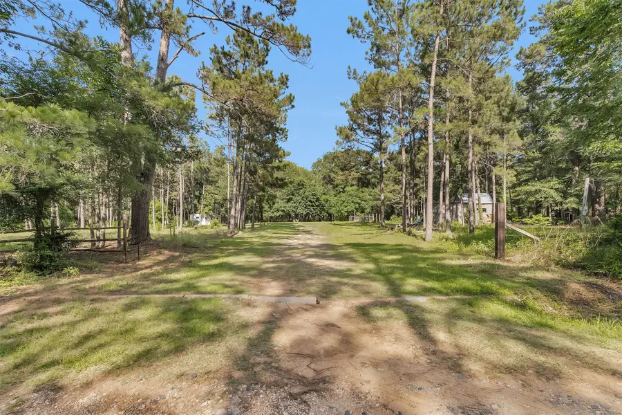 6493 Planters Row Lane Lane, Plantersville, TX 77363 - #3