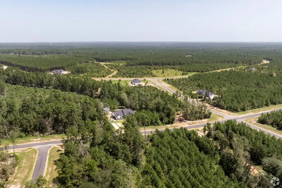 15999 Forest Mill Road, Willis, TX 77378 - Image #3