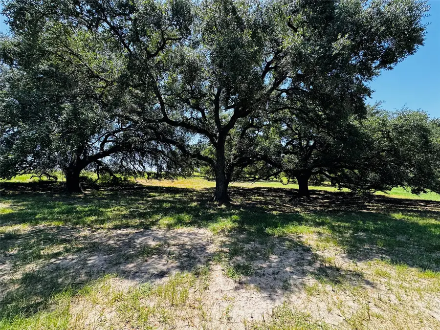 427 Knezek Road N, Flatonia, TX 78941 - #3