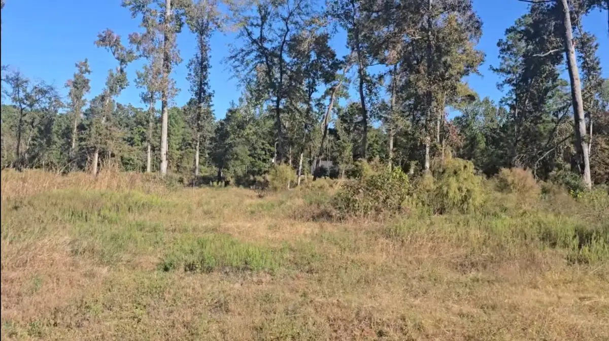 Tract C-4 Gaff Road, Magnolia, TX 77355 - #1