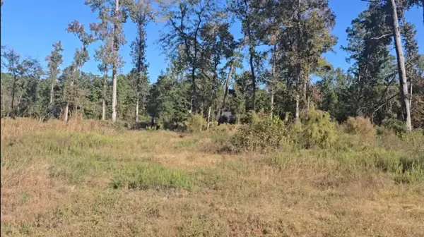 Tract C-4 Gaff Road, Magnolia, TX 77355