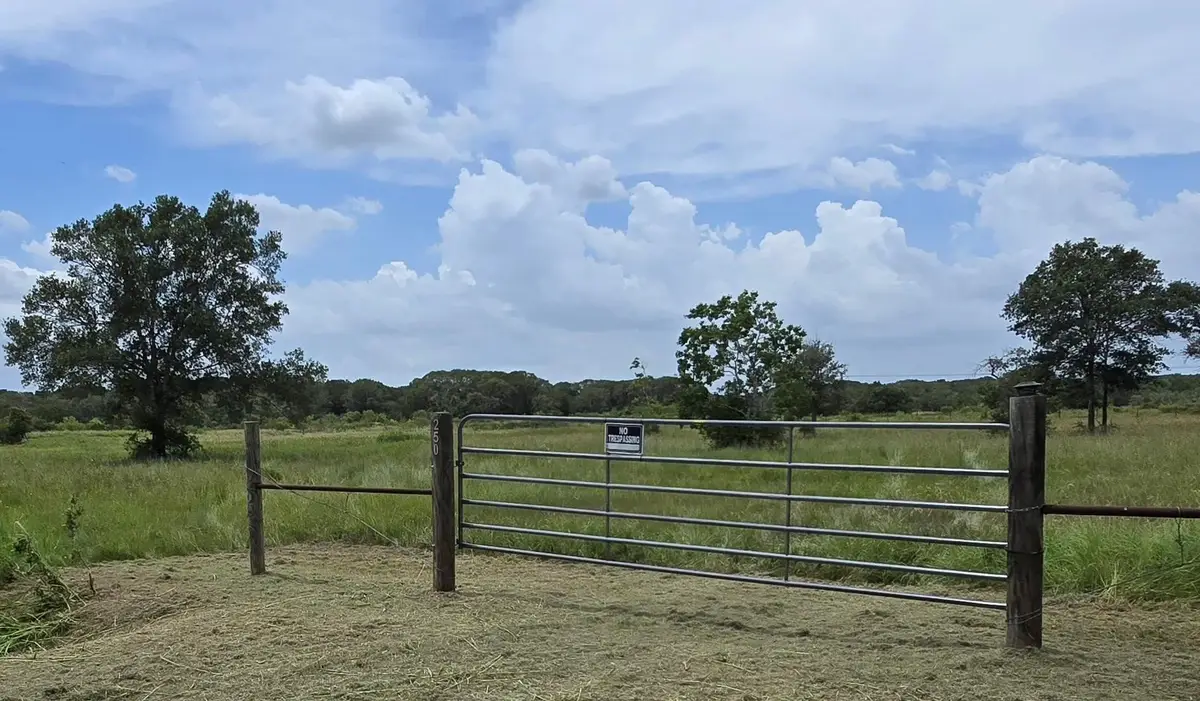 250 County Road 447, Francitas, TX 77971 - Image #1