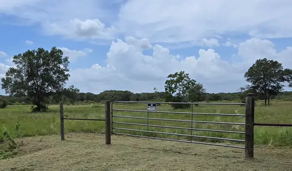 250 County Road 447, Francitas, TX 77971