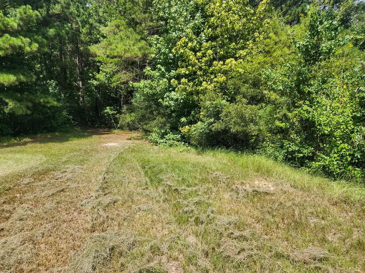 216 Private Road 6046, Burkeville, TX 75932 - #1