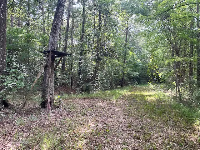 216 Private Road 6046, Burkeville, TX 75932 - #2