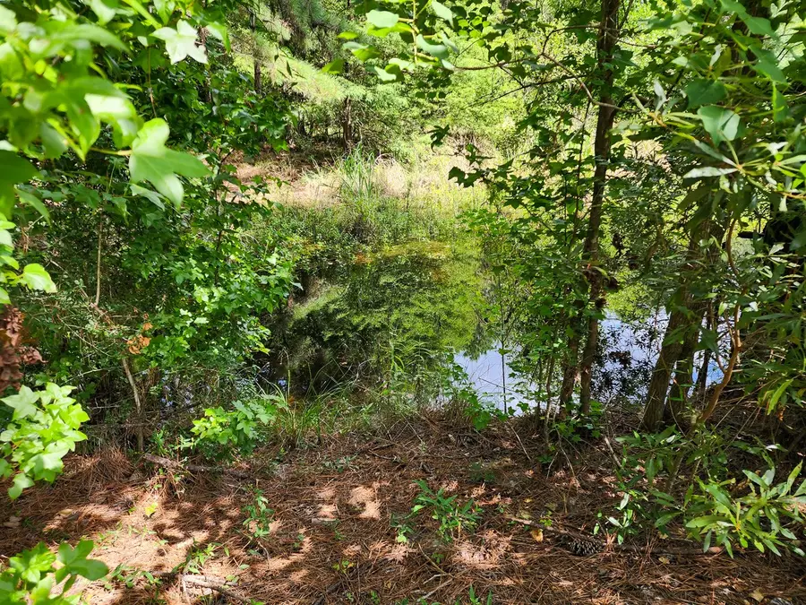 216 Private Road 6046, Burkeville, TX 75932 - #3