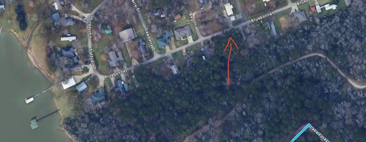 Lots 19 and 20 Bluebonnet, Livingston, TX 77351 - #1