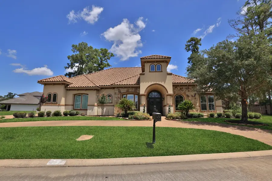 58 Shadow Creek Ridge Drive, Spring, TX 77389 - #3