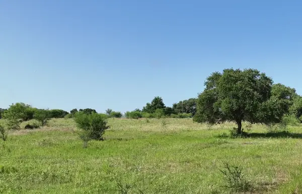 TBA Cr 209, Weimar, TX 78962