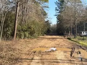 TBD Lazy Oak Drive, Livingston, TX 77351 - #2