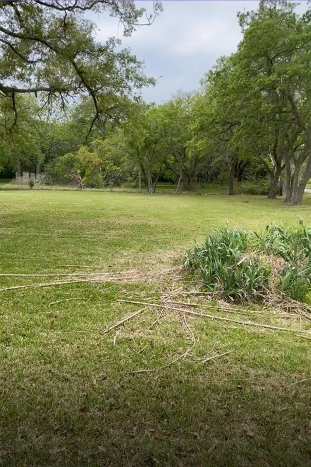 2702 Lake Road, La Marque, TX 77568 - #1