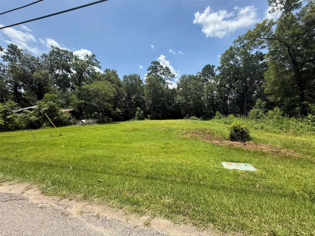 Lot 15, 16 Frontier Rd, Willis, TX 77378 - #1