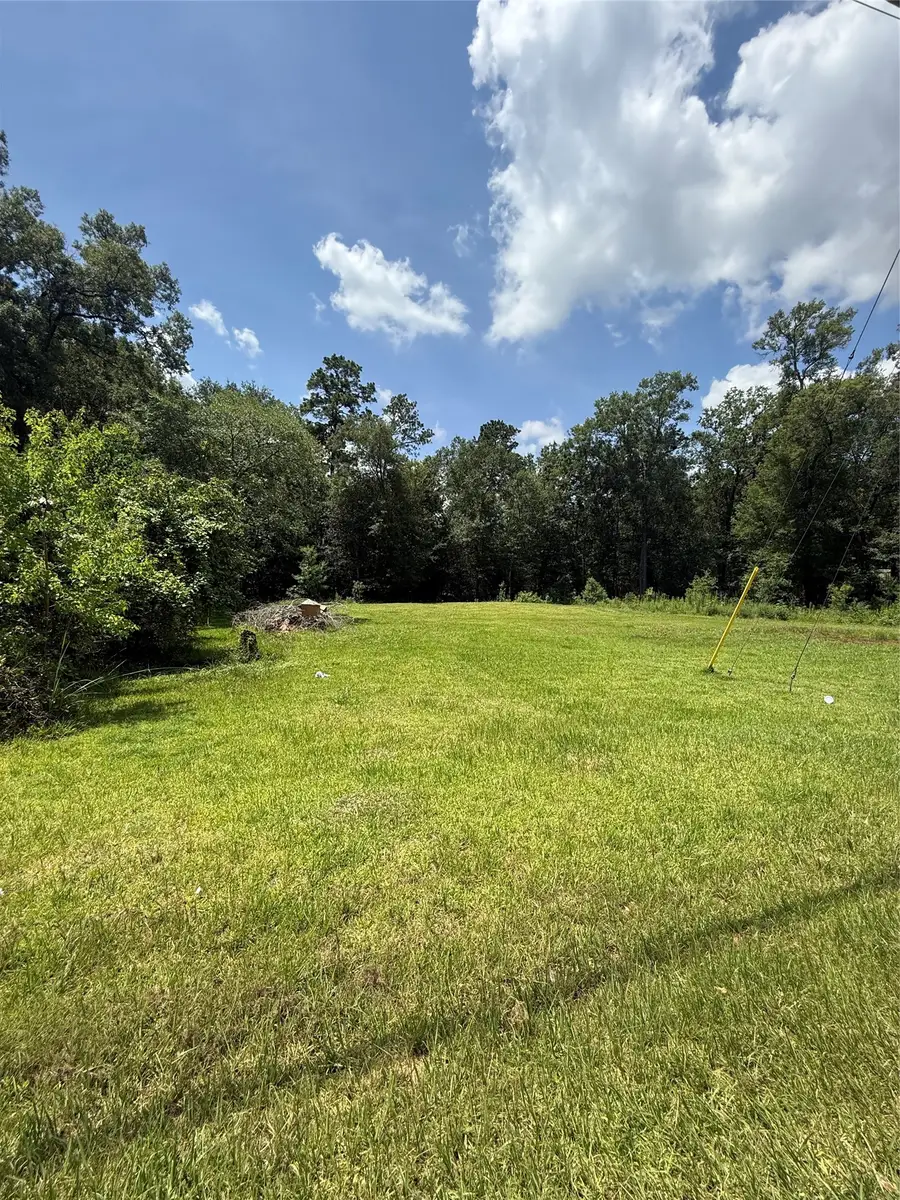 Lot 15, 16 Frontier Rd, Willis, TX 77378 - #3