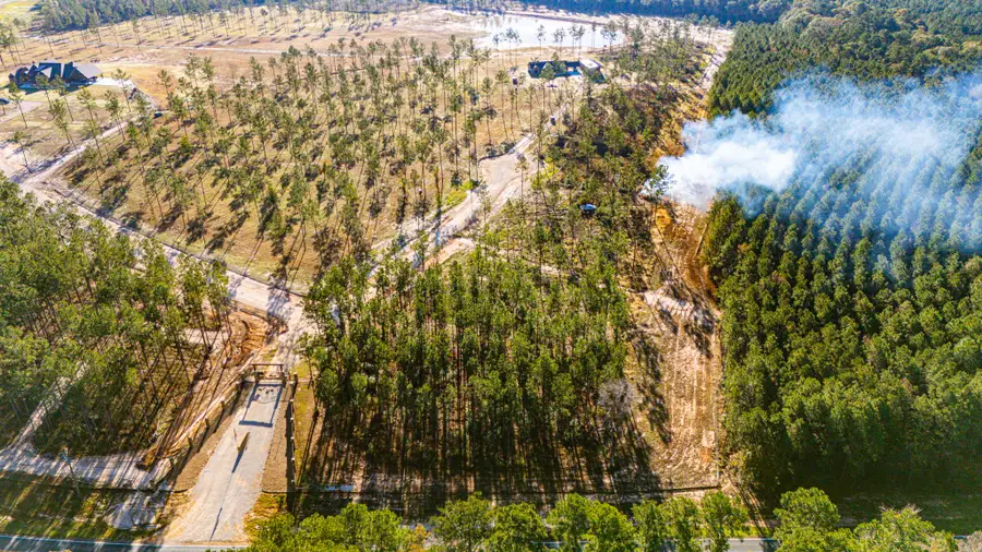 002 Blackbuck Drive, Moscow, TX 75960 - #3