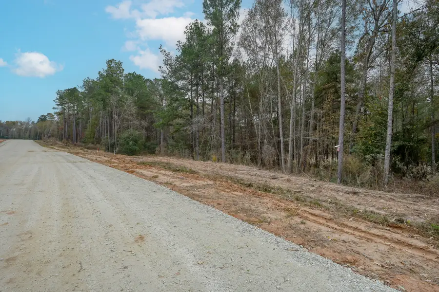 132 Heartland Road, New Waverly, TX 77358 - #2