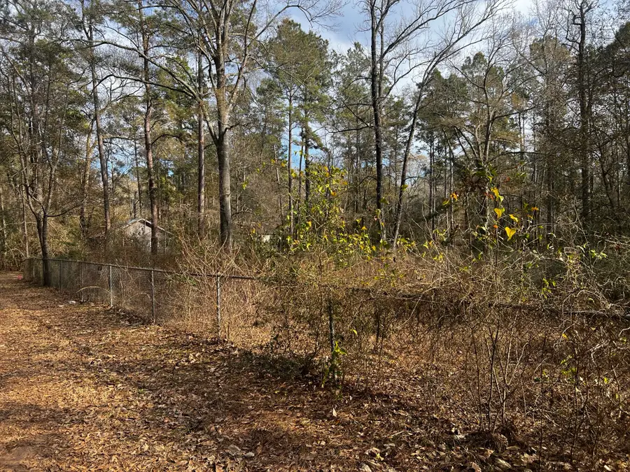 18444 Solomon Street, Cleveland, TX 77328 - #2