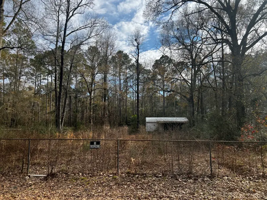 18444 Solomon Street, Cleveland, TX 77328 - #3