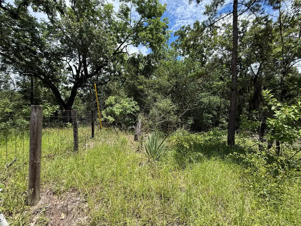 TBD Arrow Head Lot 268 Lane, Huntsville, TX 77320 - #1