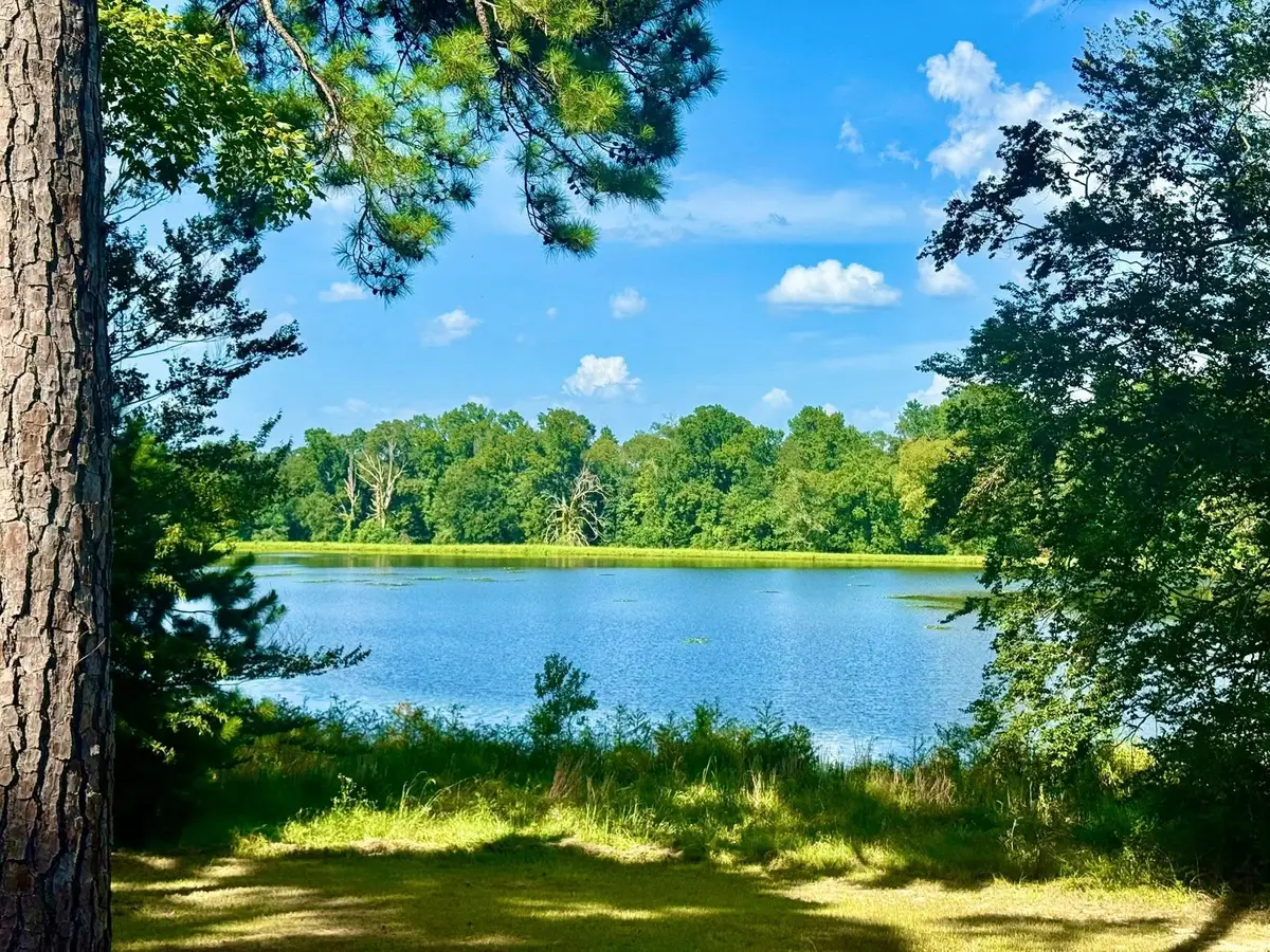 TBD Lakeland Ranch Lot 392,393, Hillister, TX 77624 - Image #1