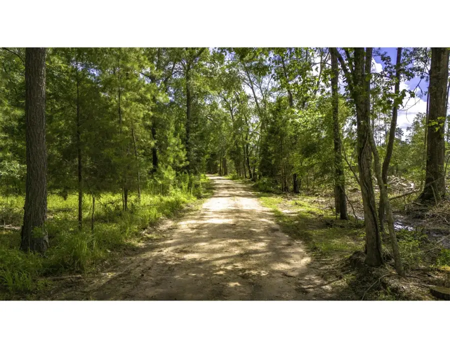 TBD Lot 002 Holland Road, Moscow, TX 75960 - #3