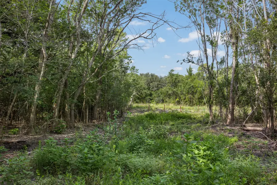 000 Schuster Road, Round Top, TX 78954 - #2