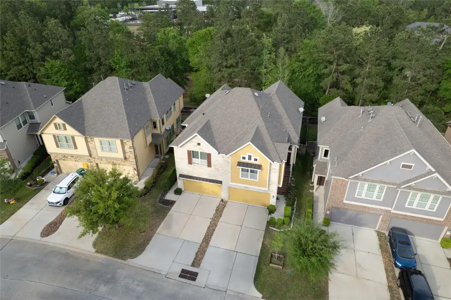 228 Cheswood Forest Place, Montgomery, TX 77316 - #3