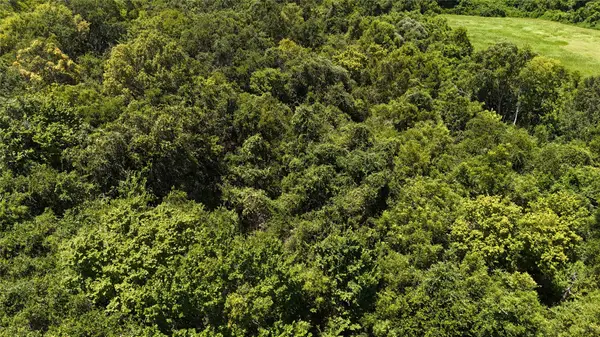 TBD County Road 42 Lots 2a5-2a6, Rosharon, TX 77583