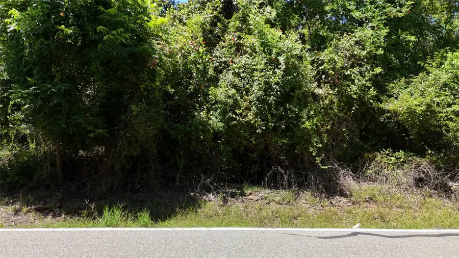 TBD County Road 42 Lots 2a5-2a6, Rosharon, TX 77583 - #2