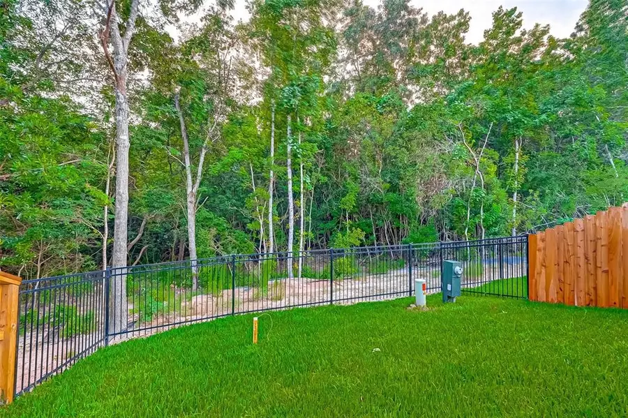 211 S Spotted Fern Drive, Montgomery, TX 77316 - #3