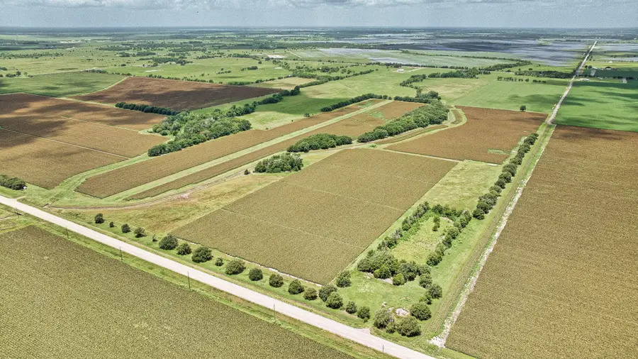 0000 Fm 1462 Road, Damon, TX 77430 - #3