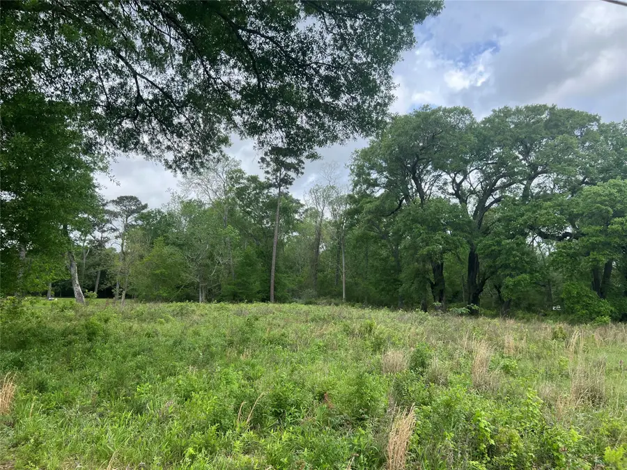 000 N Mlk Drive, Ames, TX 77575 - #3