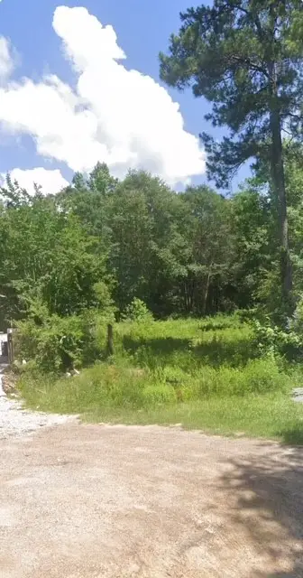 19137 Rye Court, New Caney, TX 77357 - Image #2