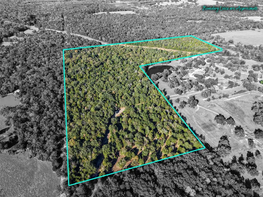 45 Acres Fcr 930, Teague, TX 75860 - Image #3