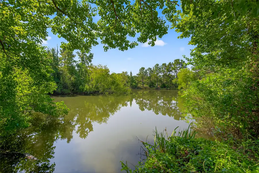 38011 Spur 149 Road, Magnolia, TX 77354 - #2