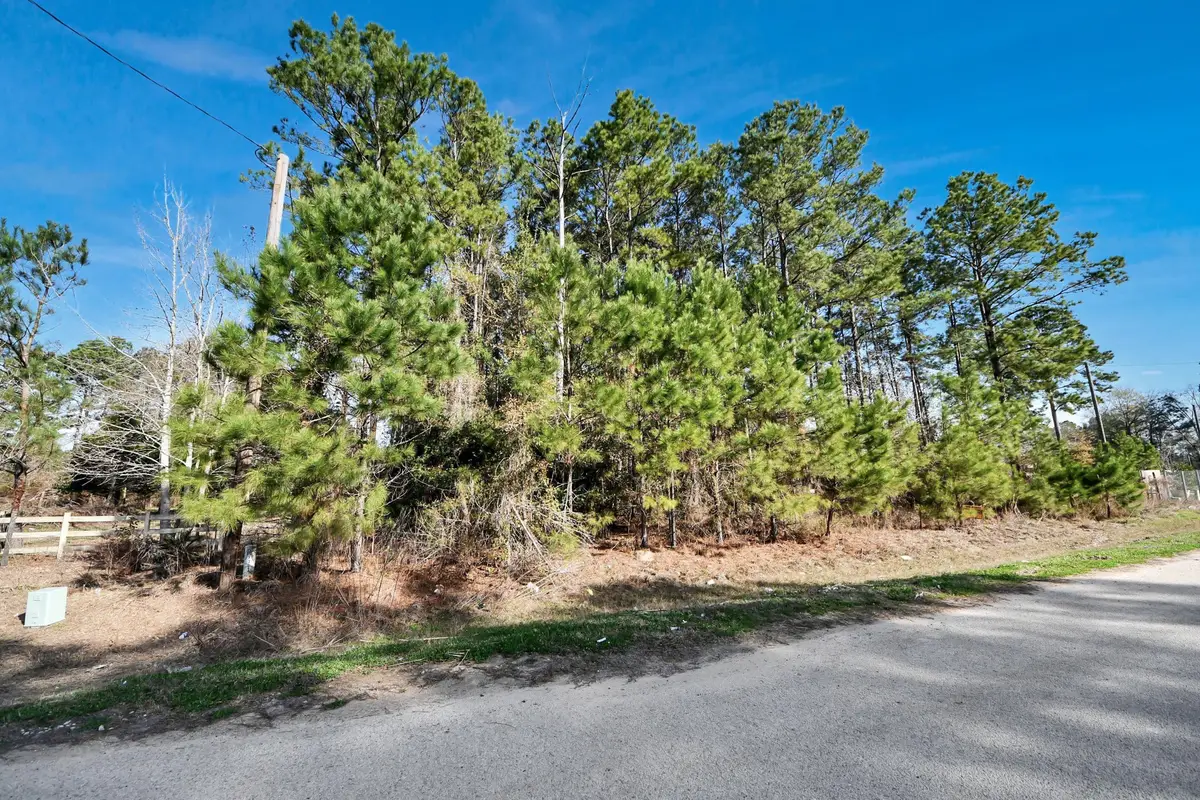 1307 County Road 3479j, Cleveland, TX 77327 - #1