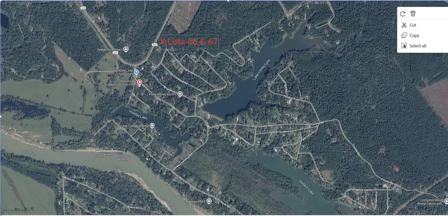 00 Fm 2665, Goodrich, TX 77335 - #3