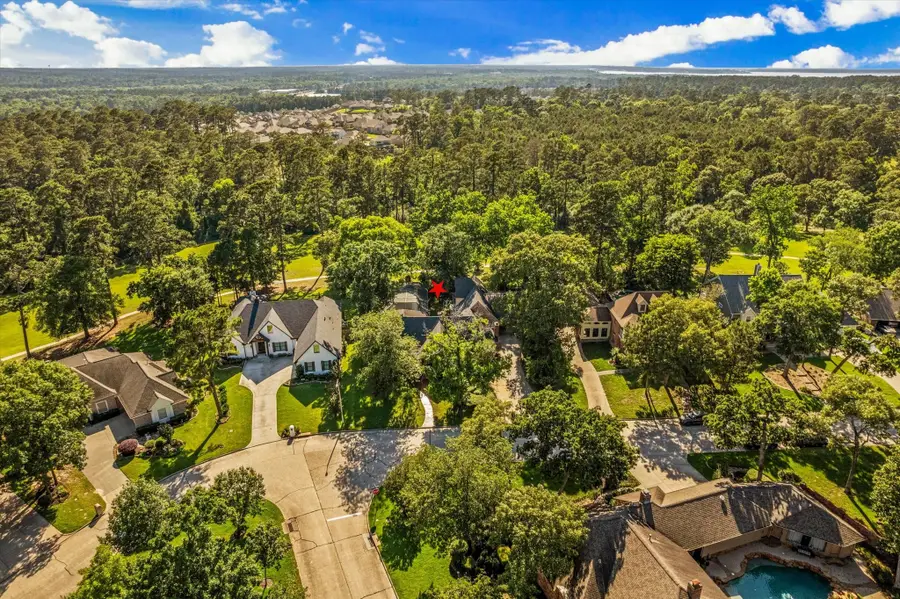 10 Wellington Lane, Conroe, TX 77304 - #3