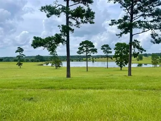Lot 234 Lakeland Ranch, Hillister, TX 77624 - #1